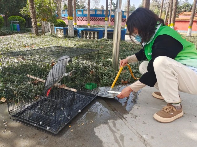 7只野生动物获救助.jpg