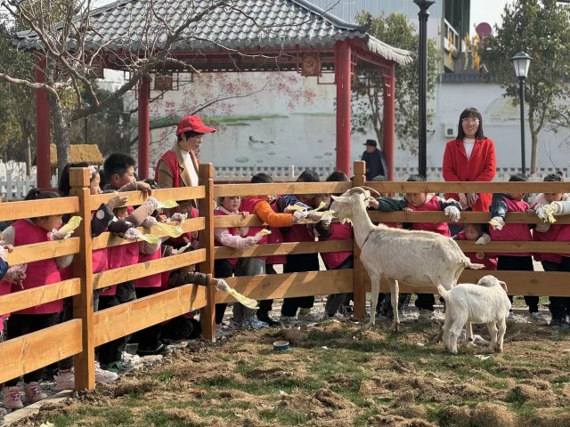 孟庙镇.jpg