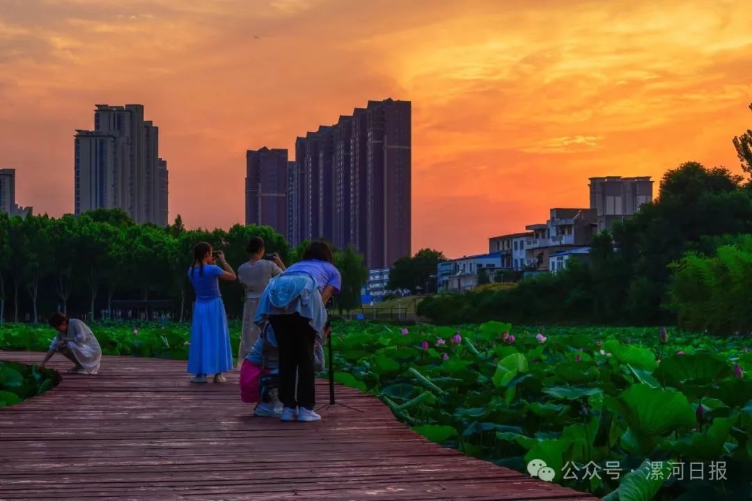 探寻最新漯河服务器机柜市场行情