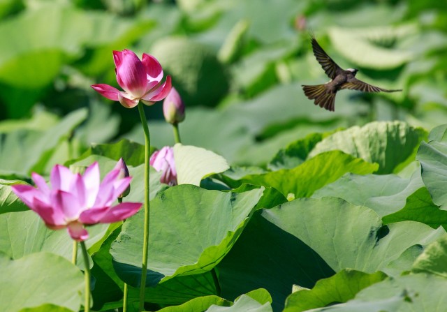 0857027857833474.jpg _E3A4558 拷贝(2394392)-20240729085637.jpg