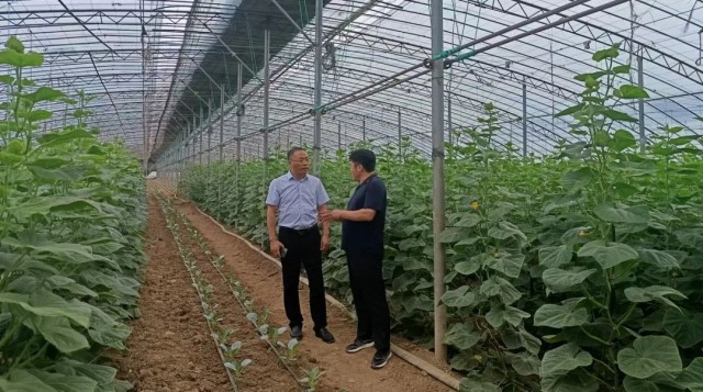 微信图片_20240906070638.jpg