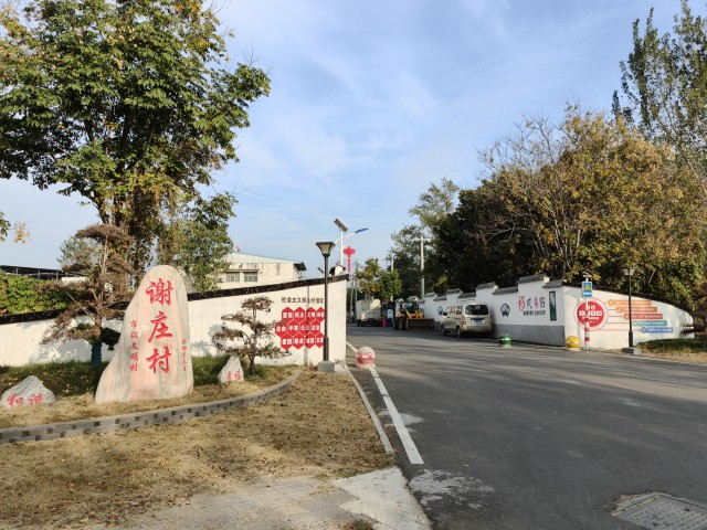 5创文稿件，挂文明漯河会客厅栏花(分离图(2523832)-20241101100630.jpg