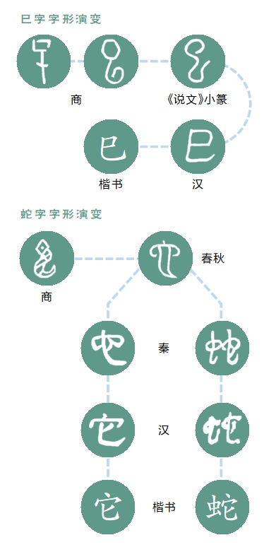 巳字 演變_20241225022858_s.jpg