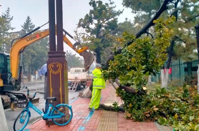 微信图片_20250126203309.png