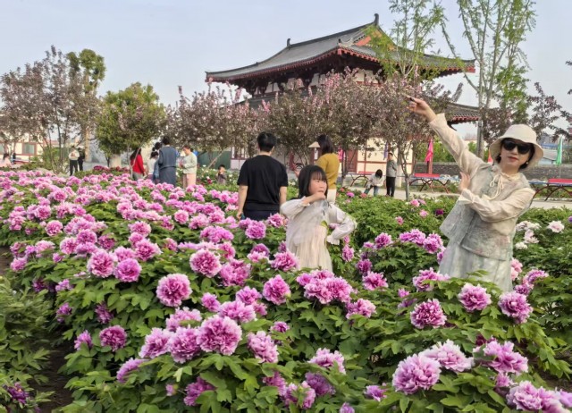 图2.jpg
