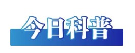 1737555383504447.png image.png