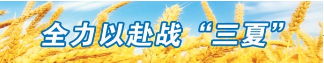 微信截图_20250527084442.png
