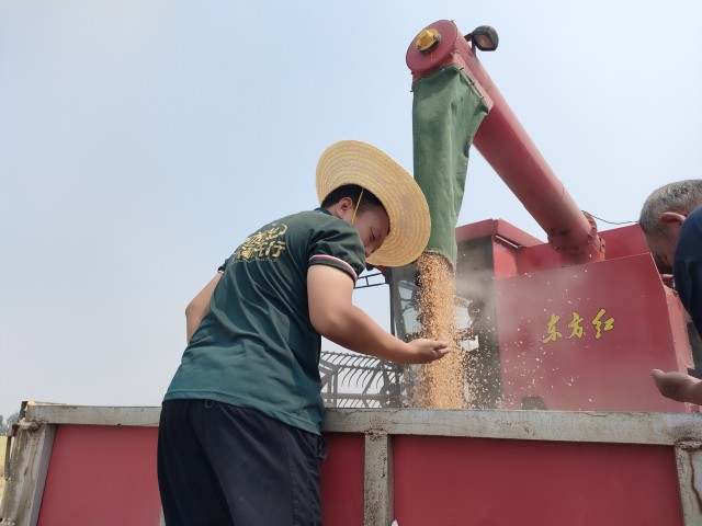微信图片_20250530094040.jpg