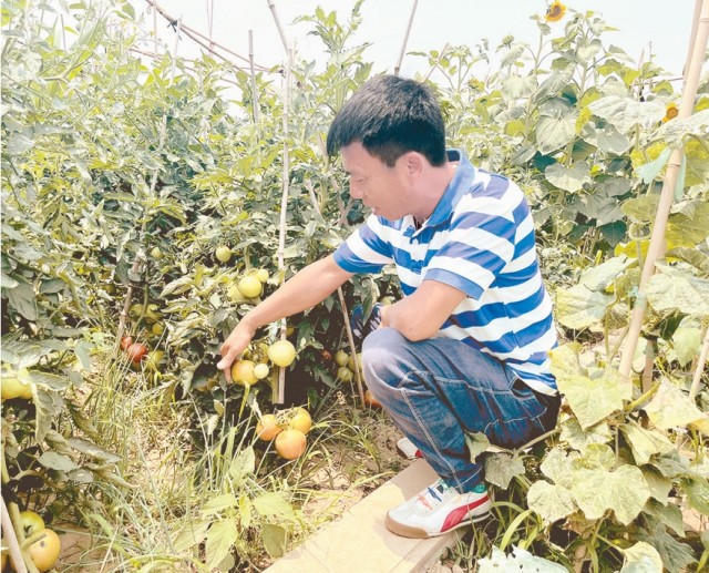 微信截图_20250625082644.png