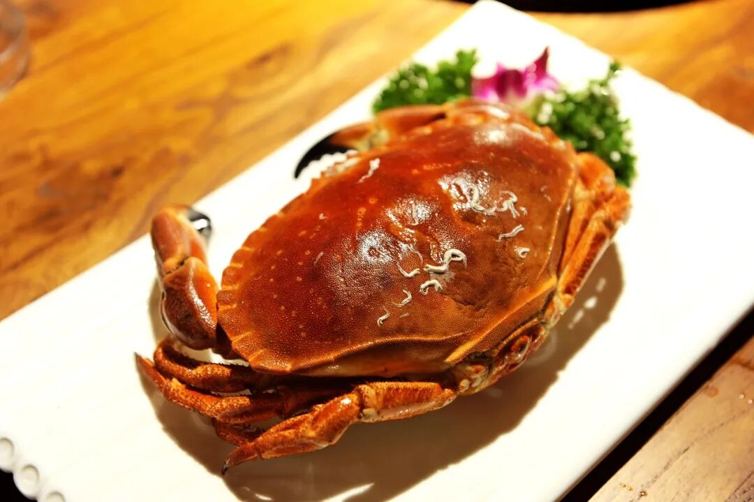 Free Crab Crab 1 photo and picture