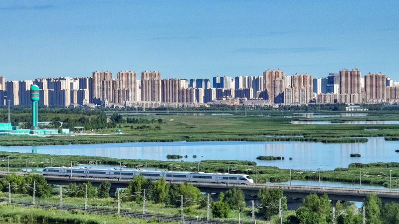 2025年8月17日，一列动车组列车驶过大庆东站。