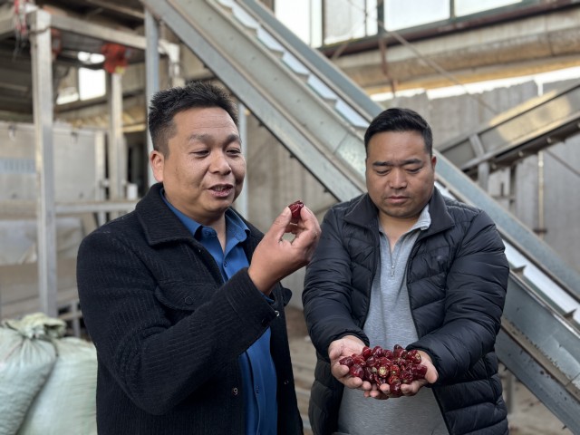 0939056663673132.jpg 微信图片_20251113093424_34_467.jpg