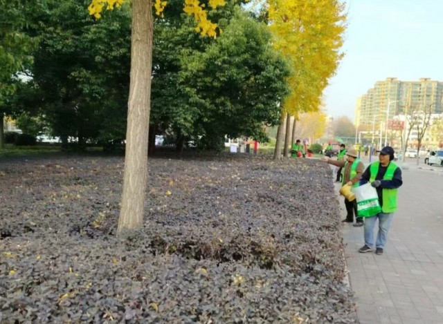 1045435101091808.png image.png