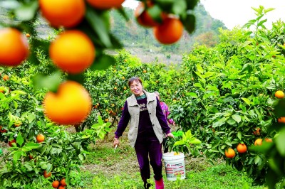 錨定目標(biāo)，打好年底&ldquo;收官仗&rdquo;