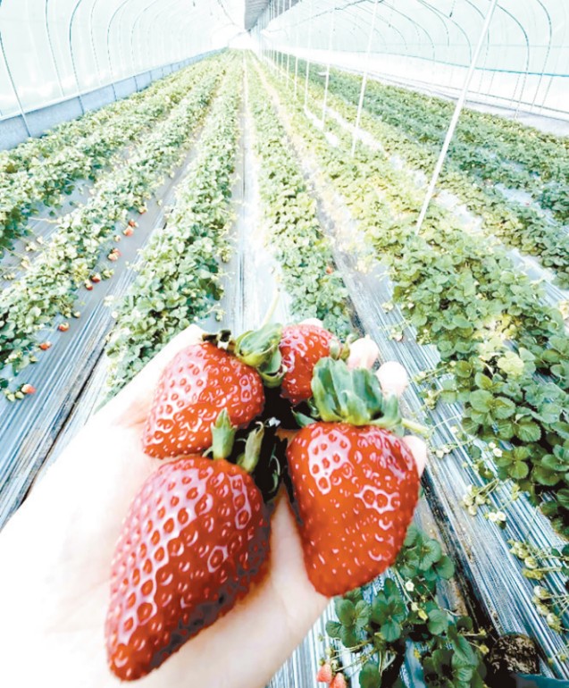 0854325231032457.png ScreenShot_2026-01-29_084910_314.png