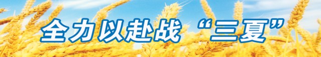 0811089241770004.png image.png
