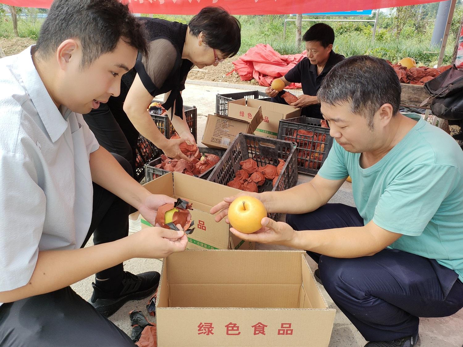 0906113894097102.jpg 5——梨农丰收愁销路 河南好人来帮忙(分(2037223)-20230912090400.jpg