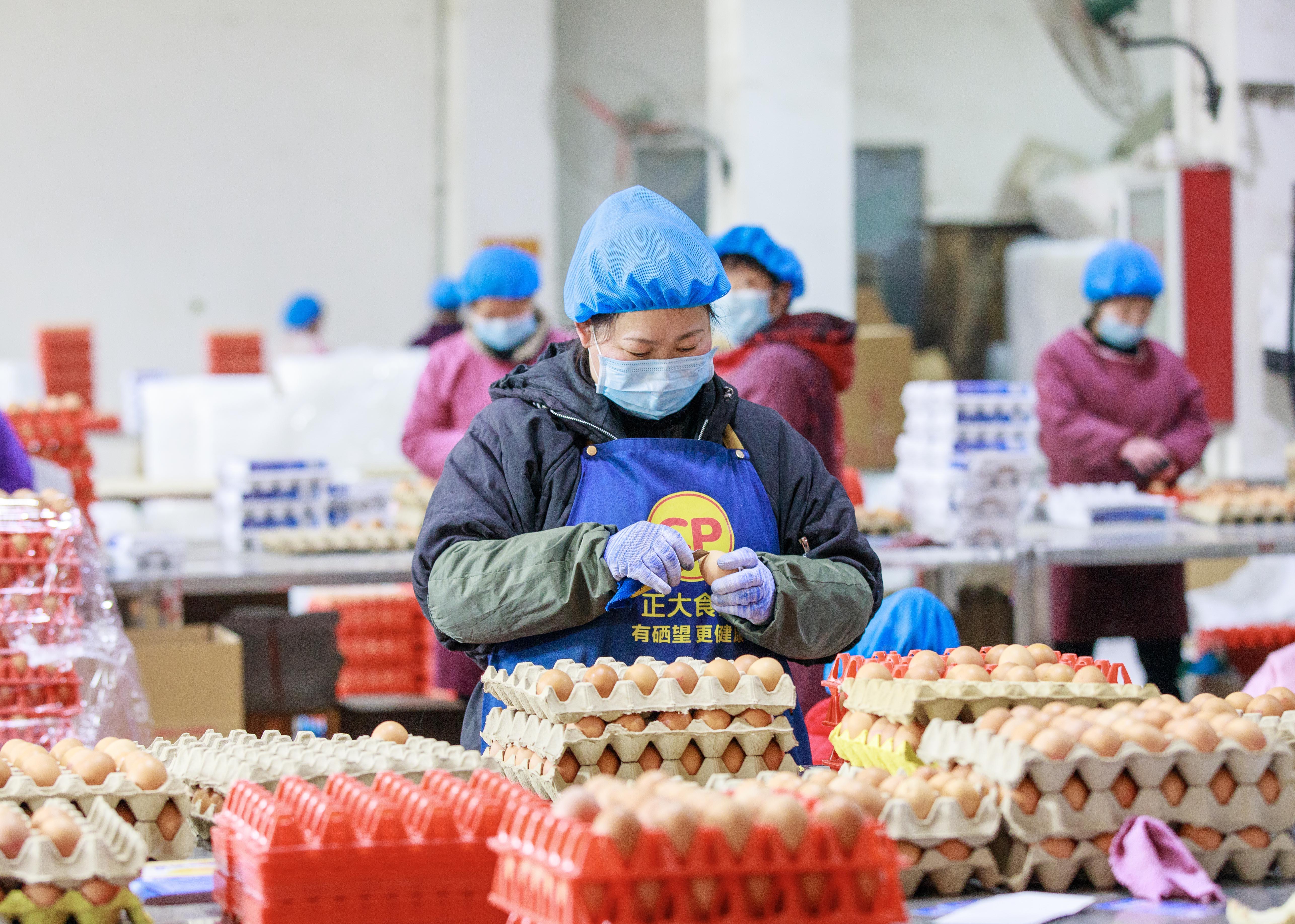 正大云仓 每天60万枚鸡蛋供应节日市场((2187966)-20240123091047.jpg