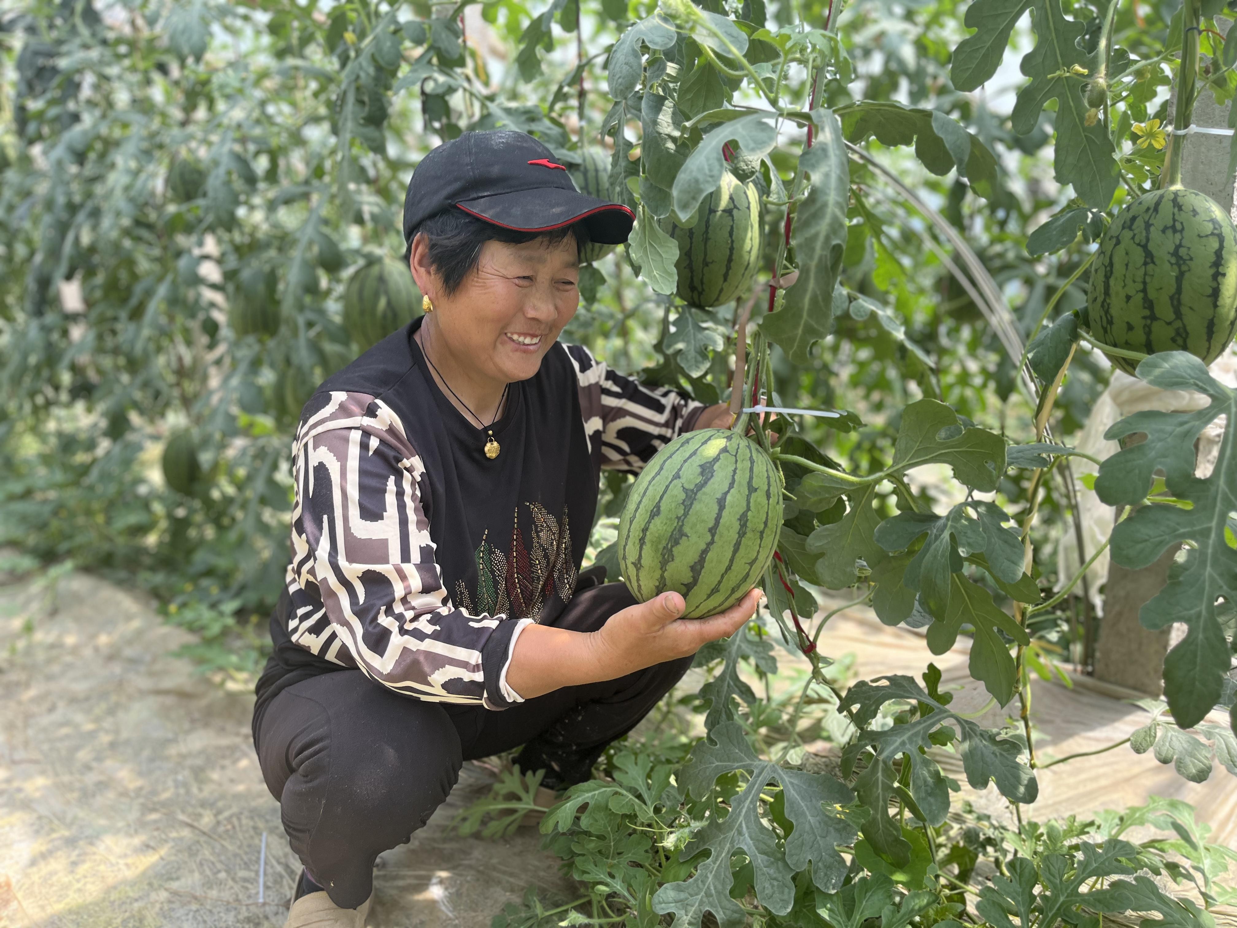 2——(記者在一線)召陵區萬金鎮唐橋村：(2721779)-20250427083706.jpg