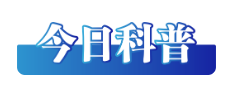 1735005826035161.png image.png