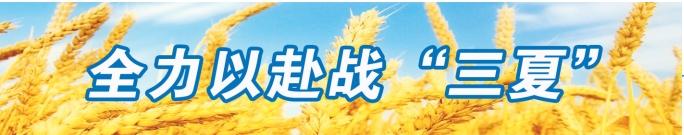 微信截图_20250527084442.png