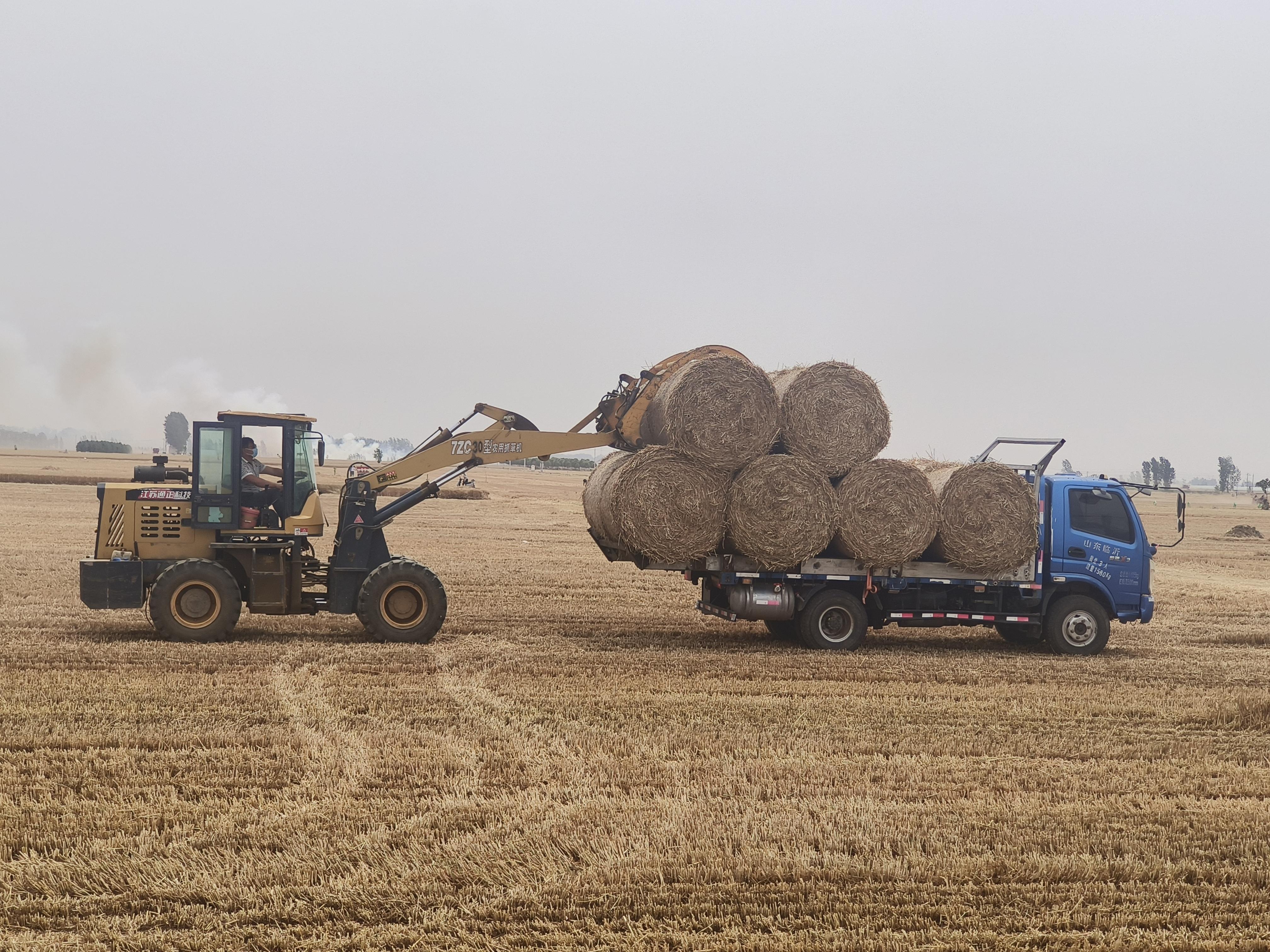 0858427075231014.jpg 2——记者在一线(分离图)1509326(2767275)-20250604085459.jpg