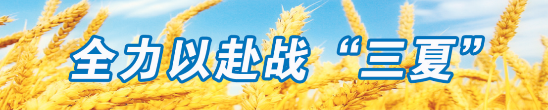 0841528320192200.png image.png