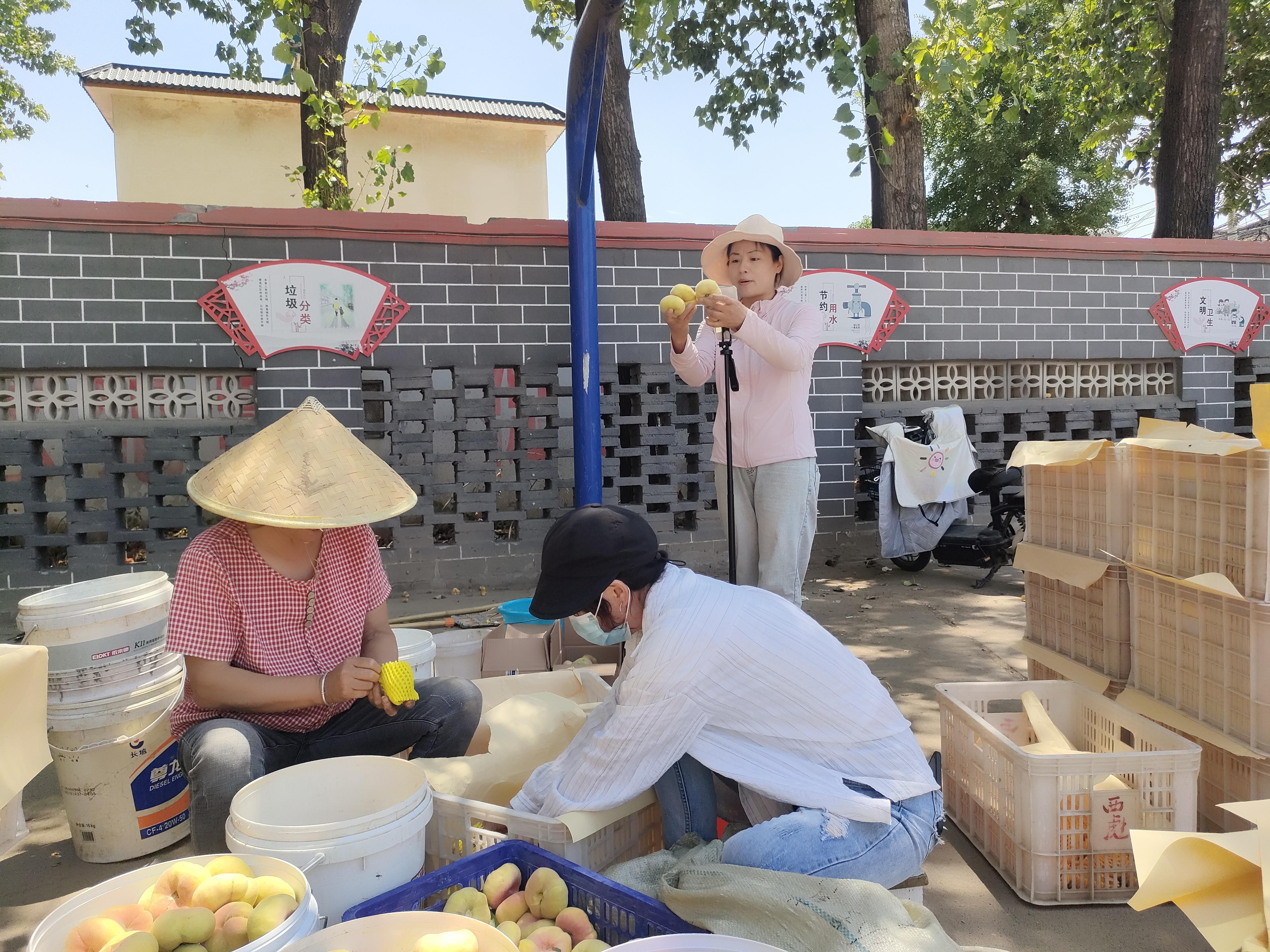2——【记者在一线】直播团队助力优质水果(2775230)-20250611090537.jpg