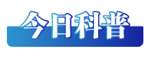 1736116412251994.png image.png