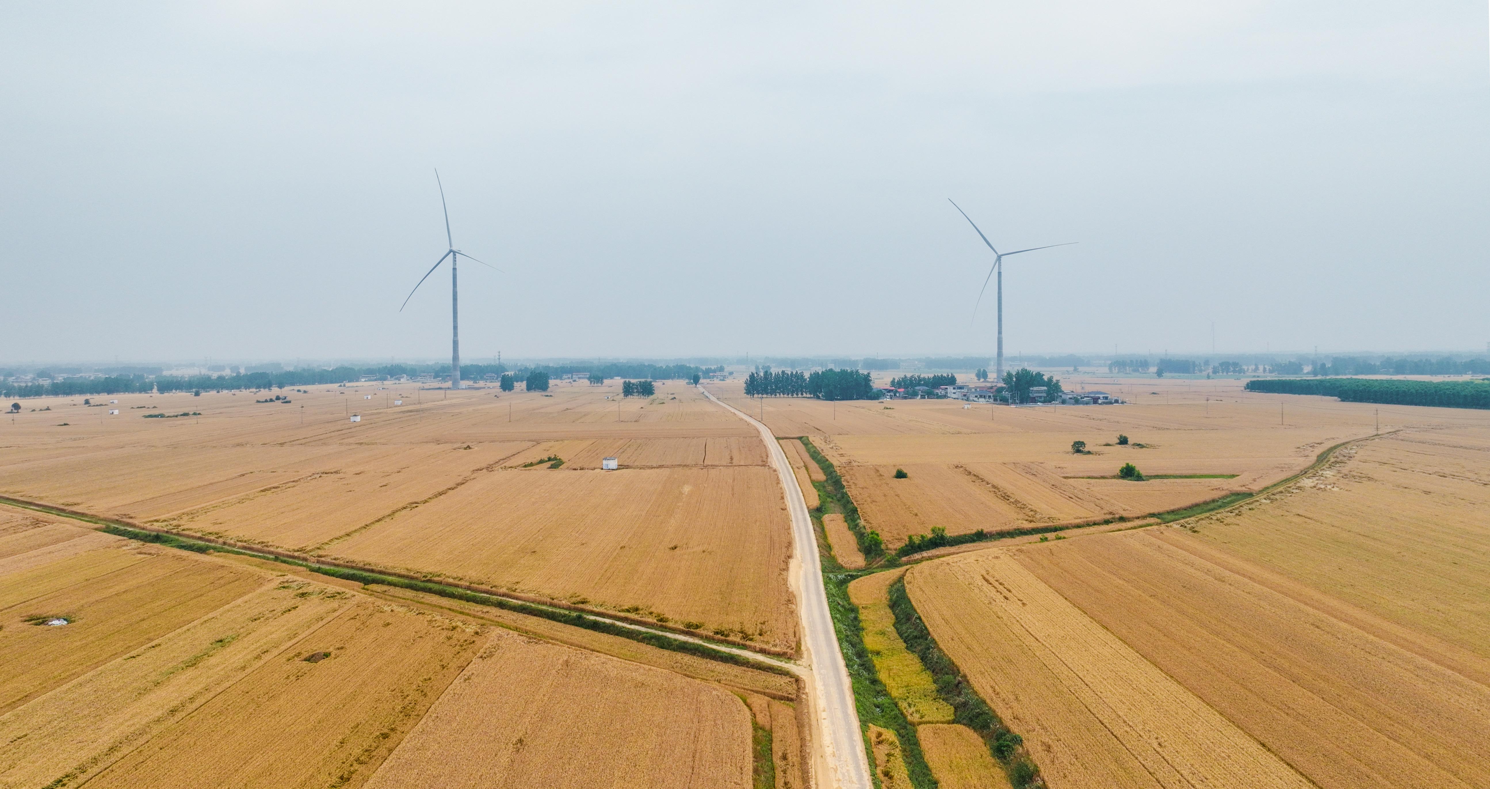 0856506581330580.jpg DJI_0306(2998740)-20251210085059.jpg