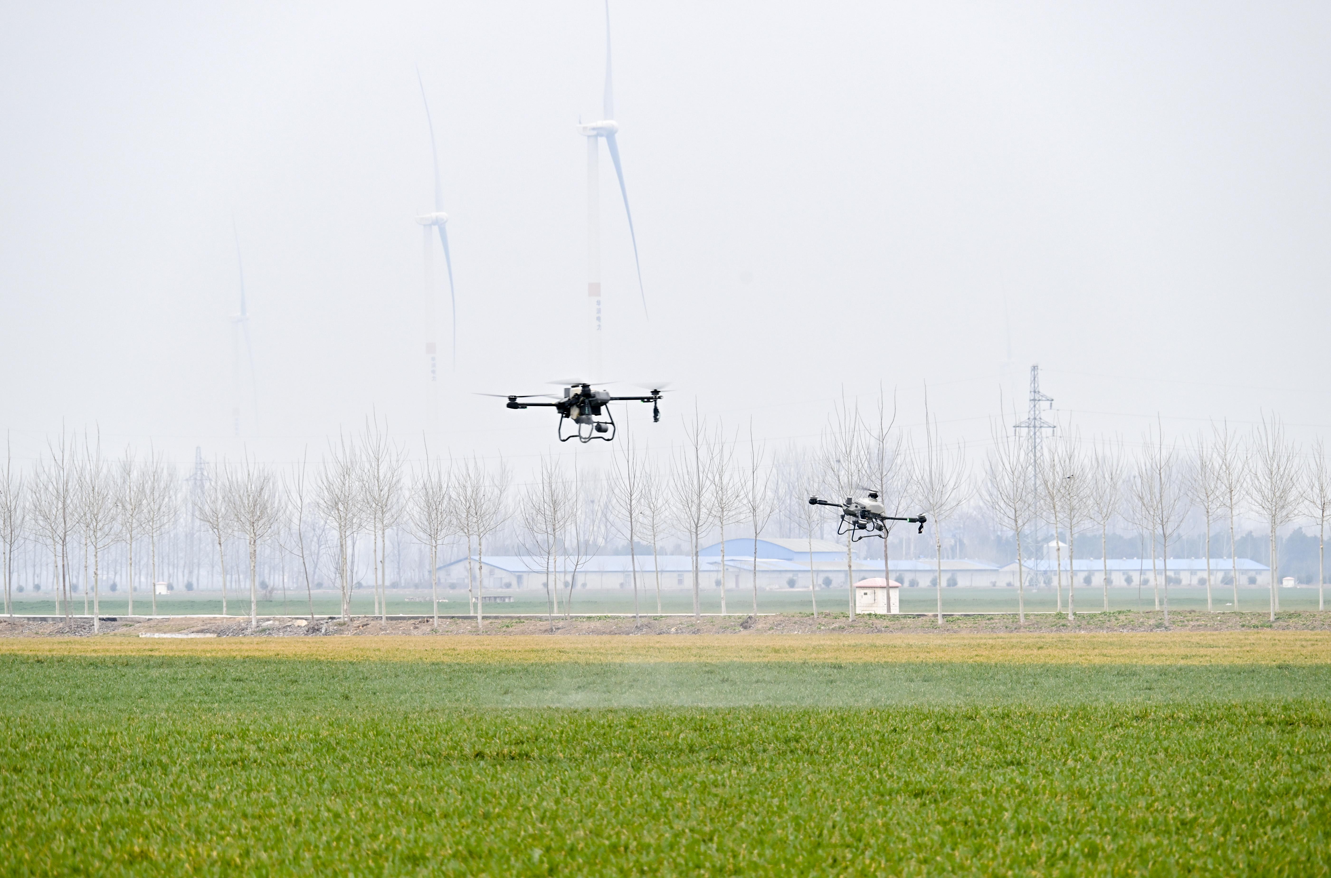 0910401883606553.jpg 微信图片_20251208133620_(2998645)-20251210085753.jpg