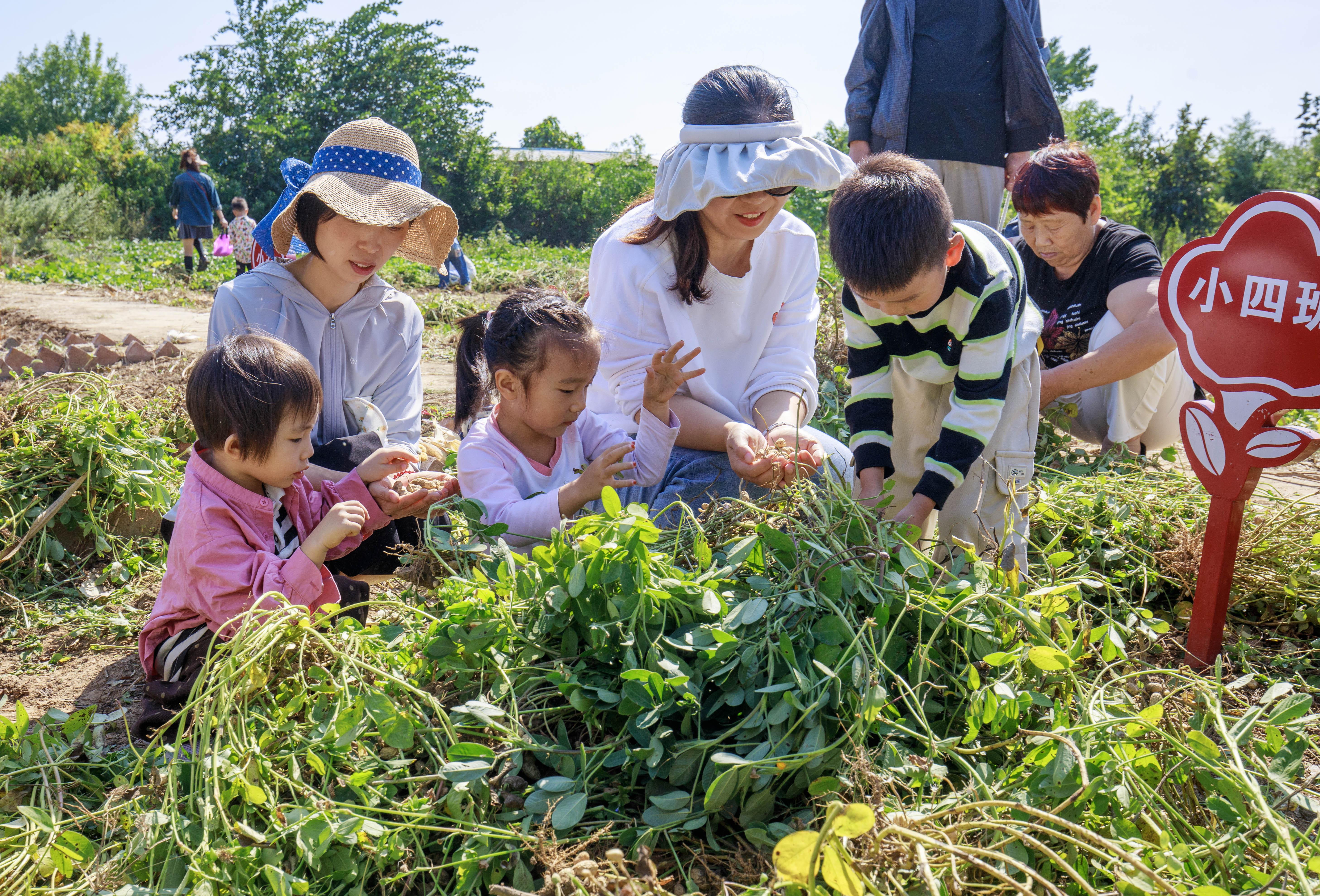 0919067391682279.jpg 微信图片_20251215085817_167_130.jpg