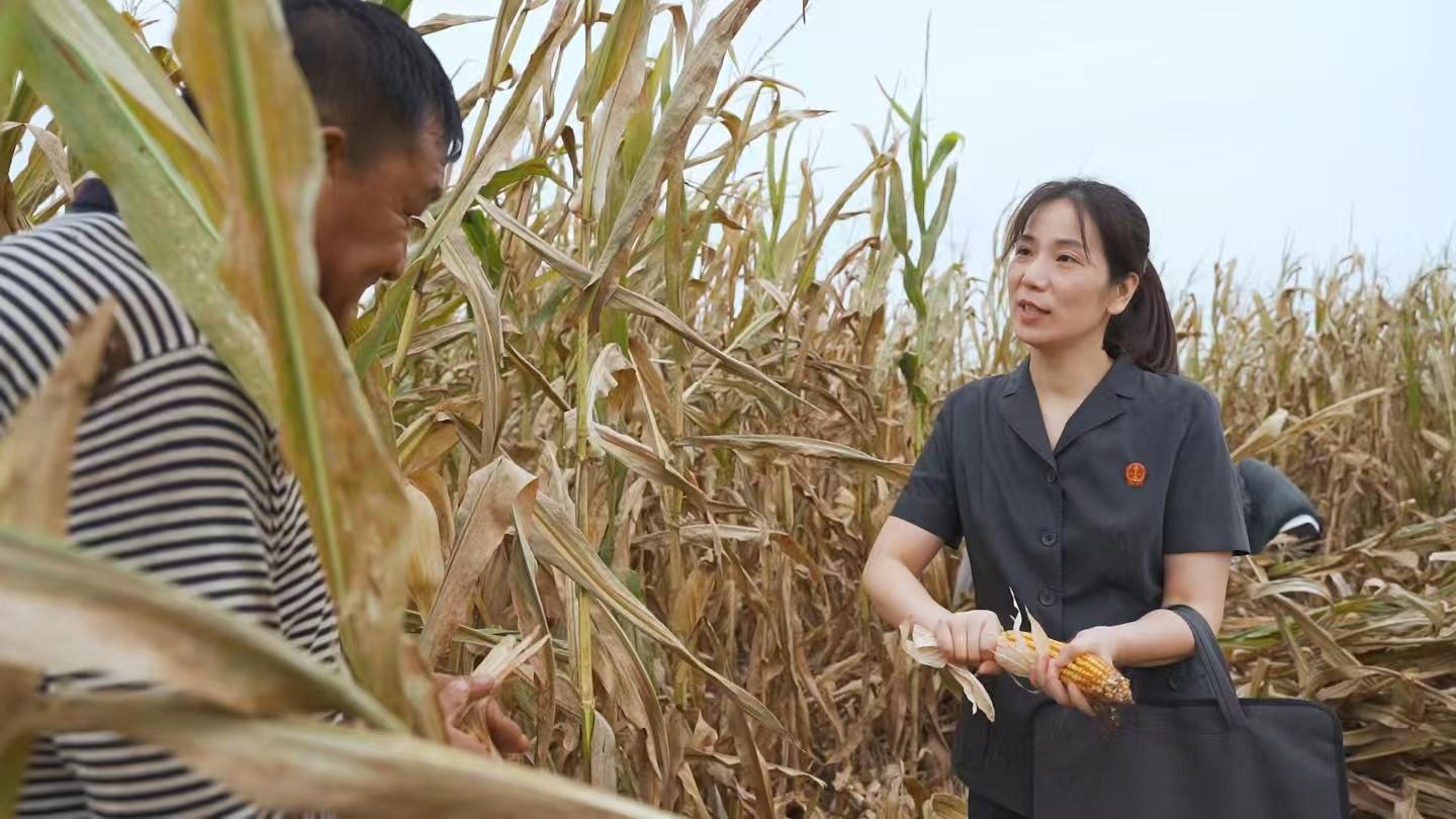 0850556701655381.jpg 微信图片_20251218084943_39_362.jpg