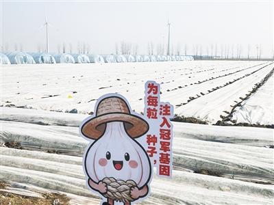 从“土里生根” 到“太空育种”.jpg