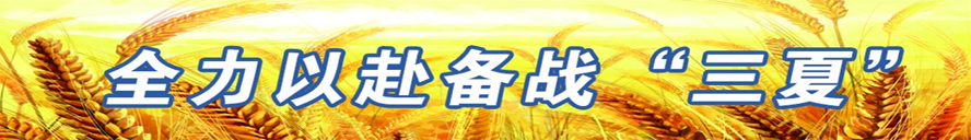0751542408264195.png image.png