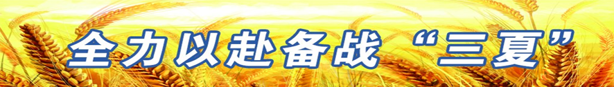 0754294346925599.png image.png