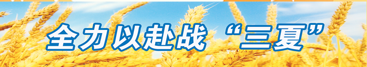 0839247369767567.png image.png