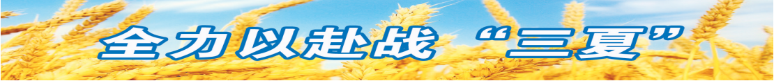 0813217677089623.png image.png