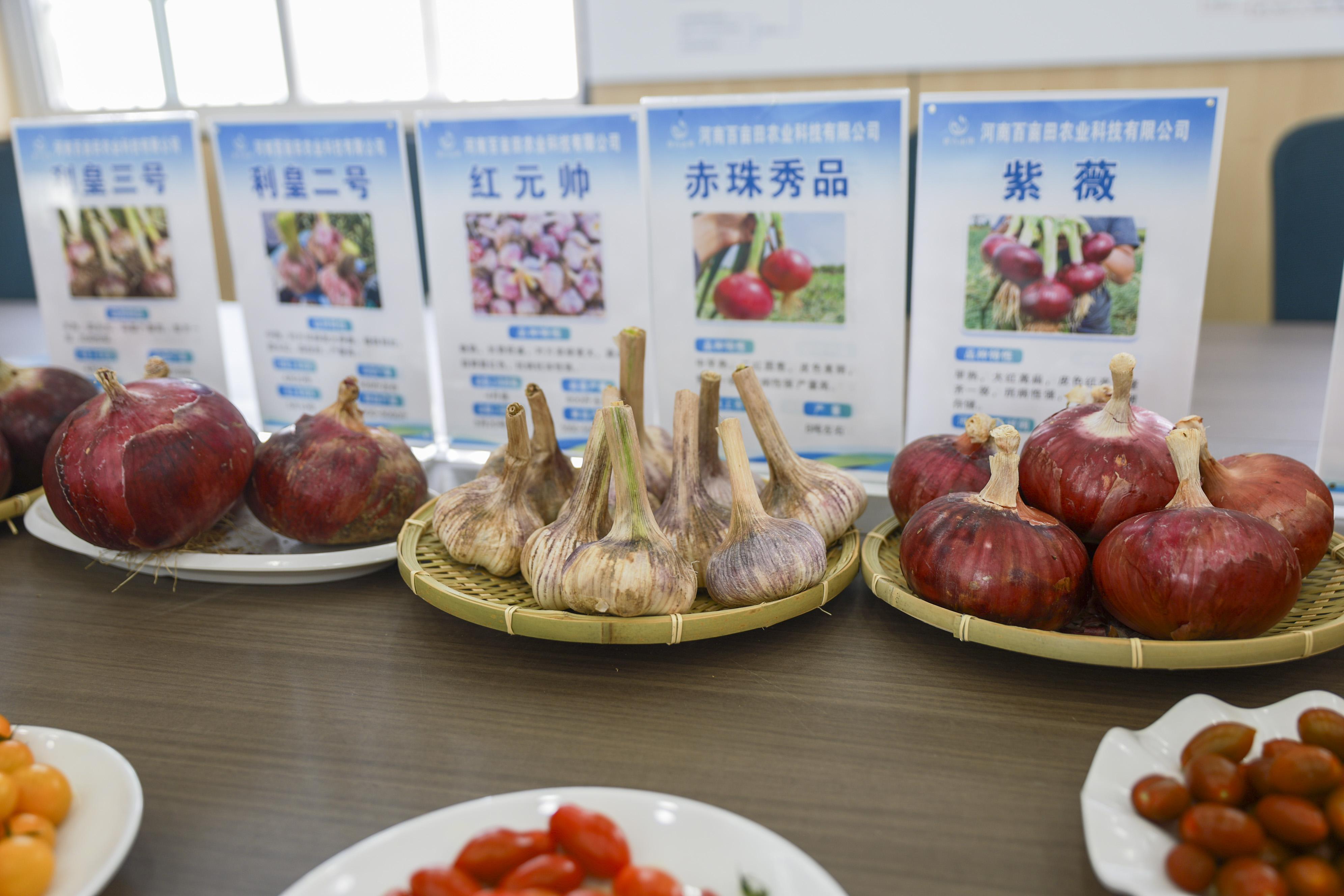 0940515327321119.jpg 1——(调研行)吴集村:以蒜为媒兴产业 (3196745)-20260622093519.jpg