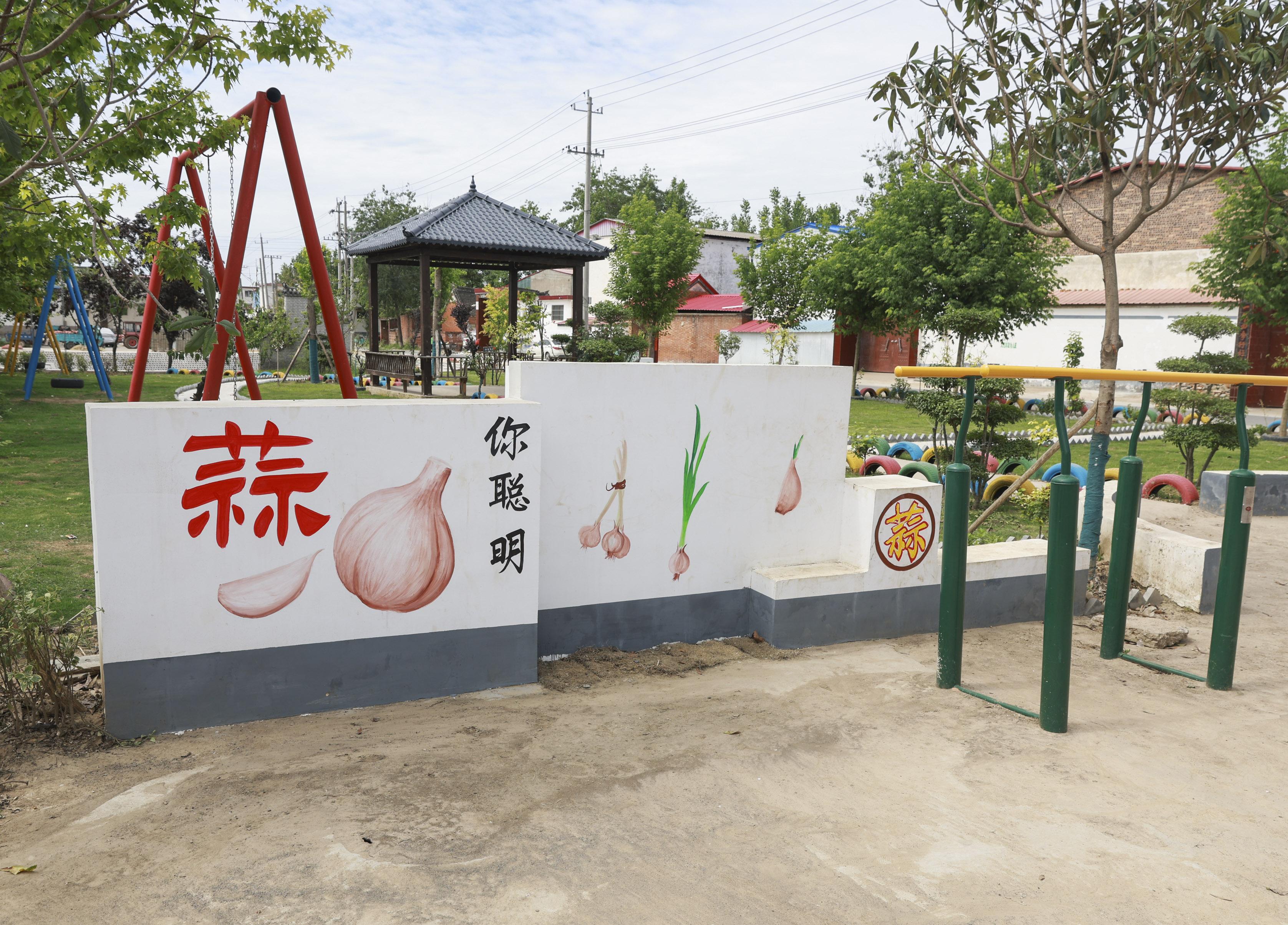 0942268977336862.jpg 1——(调研行)吴集村:以蒜为媒兴产业 (3196738)-20260622093505.jpg